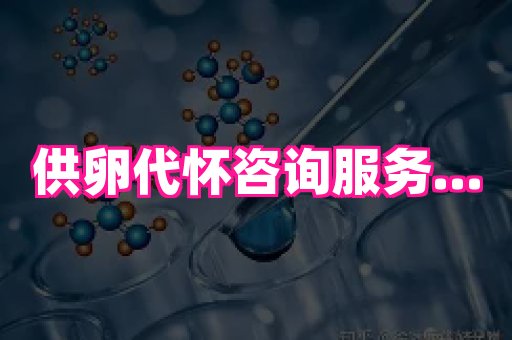 海口助孕网站 1