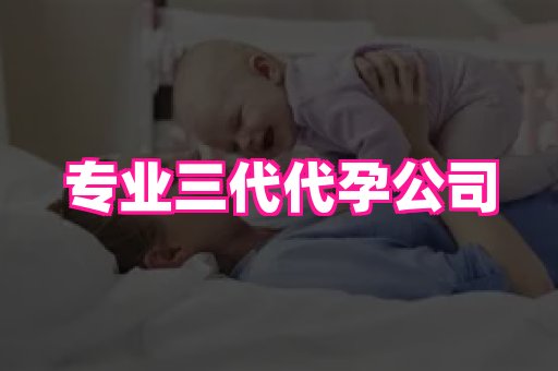 海口助孕网站 2