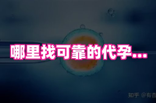 海口助孕网站 3