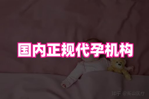 海口助孕网站 4